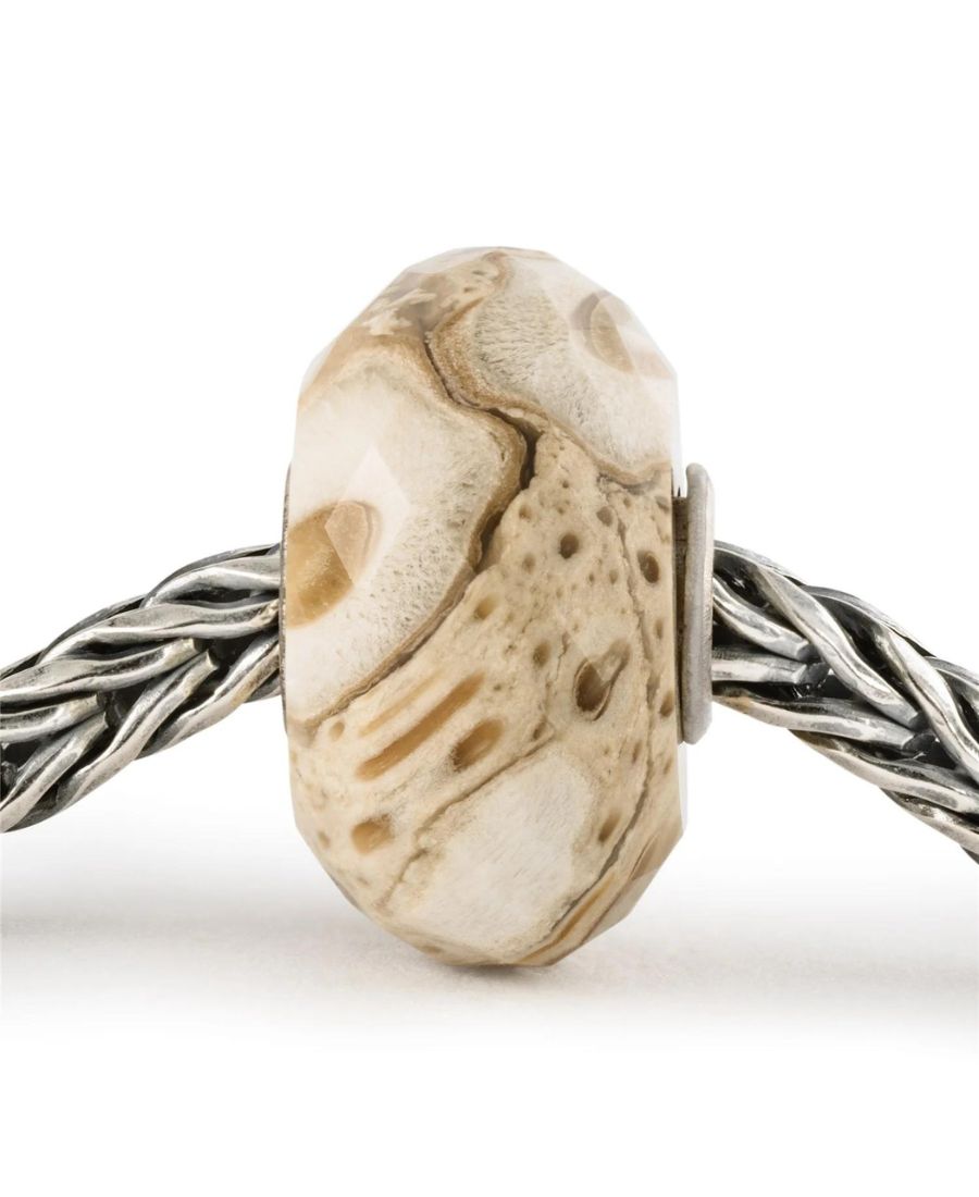 Trollbeads Legno Fossile