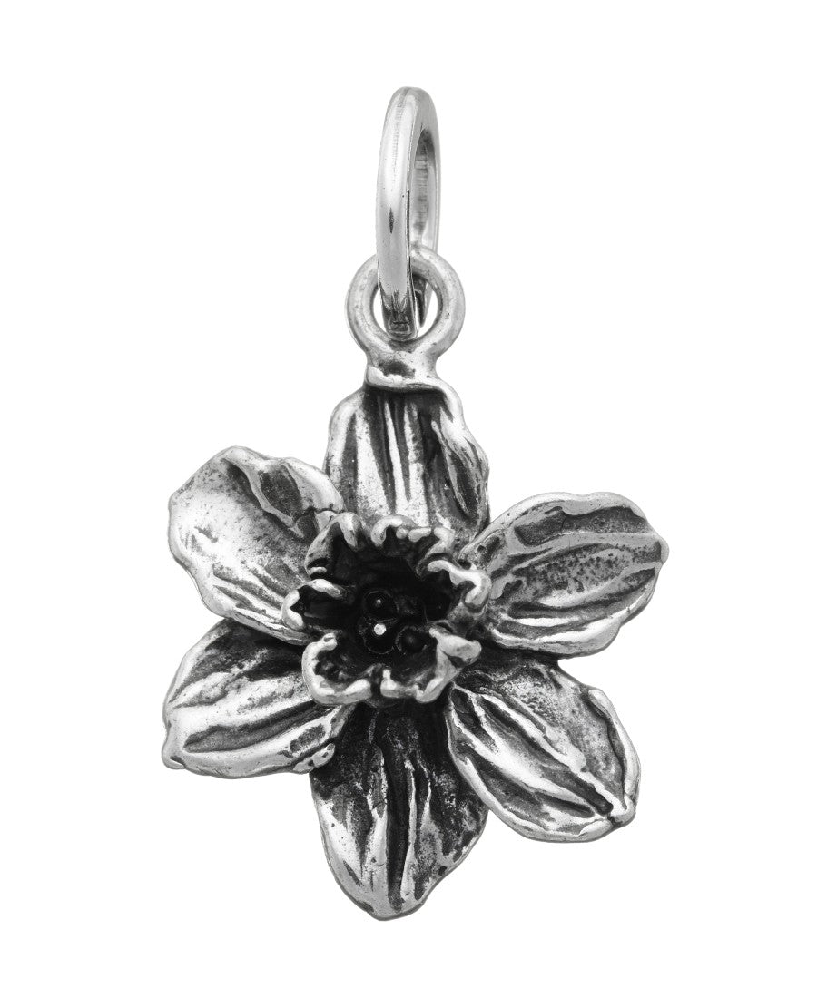 Raspini Charms Narciso (6084550525121)